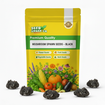 Mushroom Spawn – Black