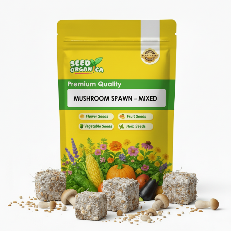 Mushroom Spawn – Mixed