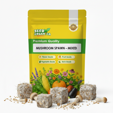 Mushroom Spawn – Mixed