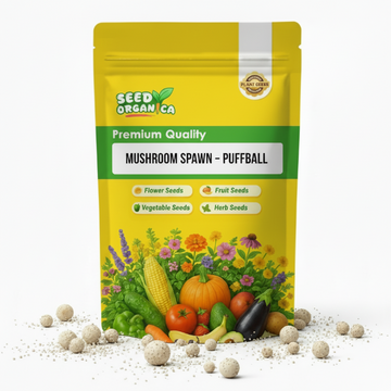 Mushroom Spawn – Puffball