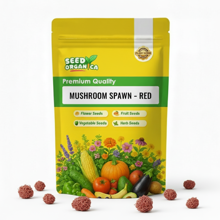 Mushroom Spawn – Red