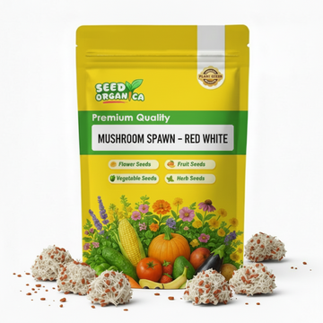 Mushroom Spawn – Red White