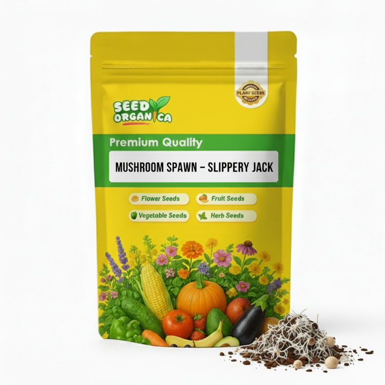 Mushroom Spawn – Slippery Jack