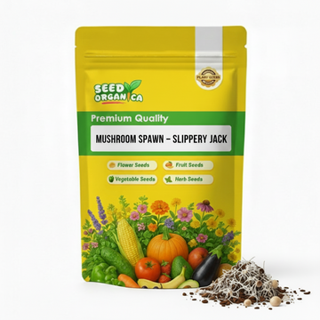 Mushroom Spawn – Slippery Jack