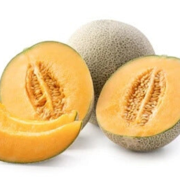 Musk Melon Seeds