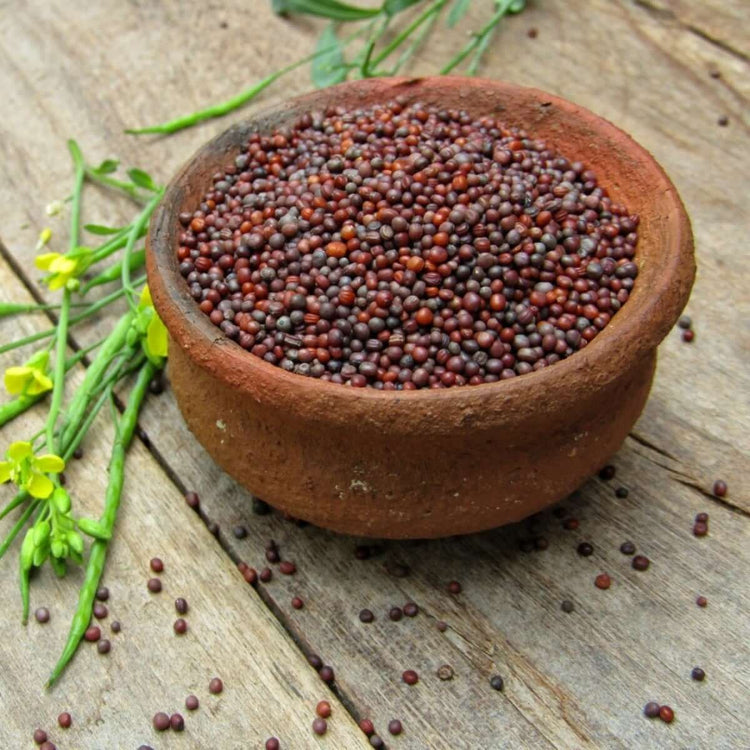 Mustard Seeds - All In One For Home Gardens