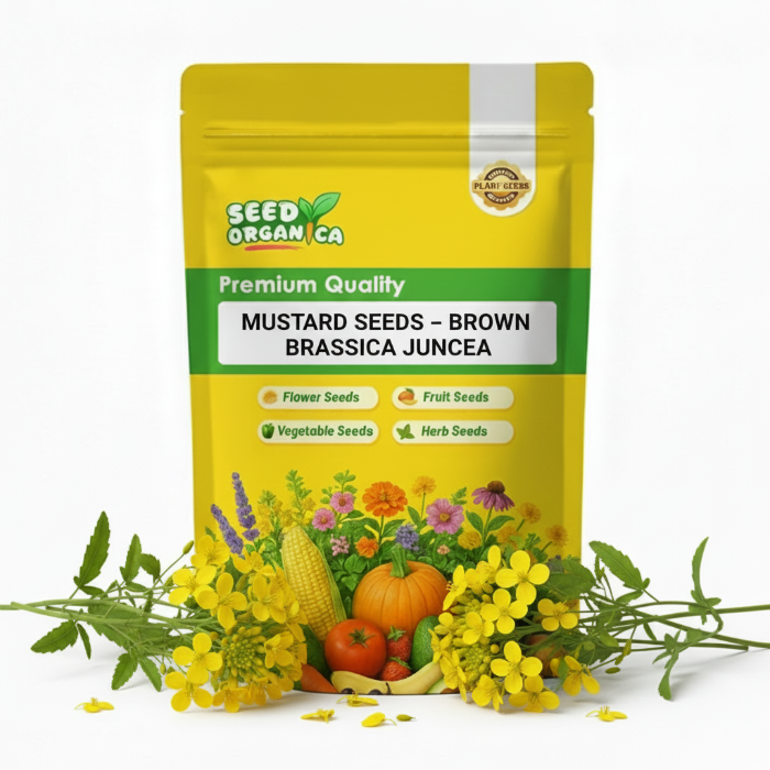 Mustard Seeds – Brown Brassica Juncea