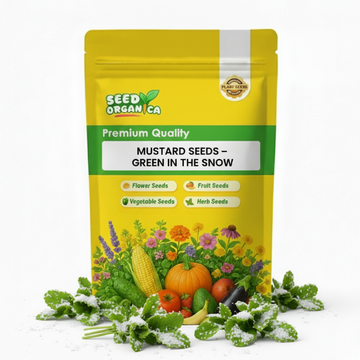 Mustard Seeds – Green in the Snow