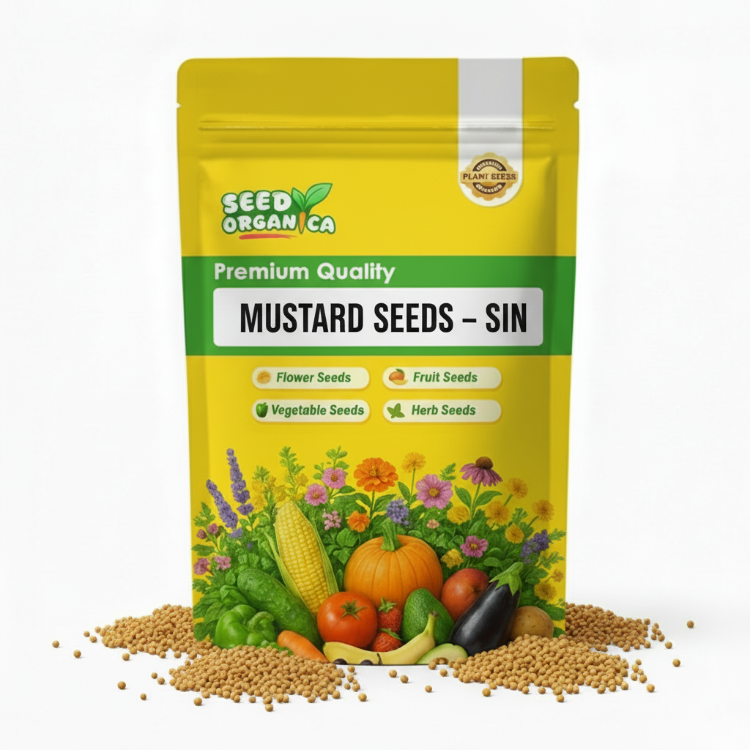 Mustard Seeds – Sin