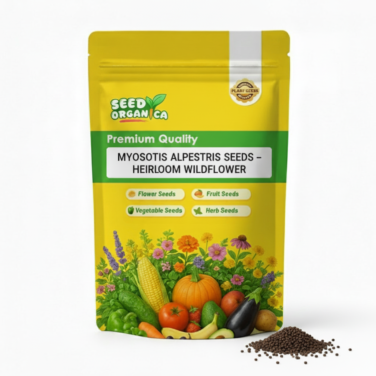 Myosotis Alpestris Seeds – Heirloom Wildflower