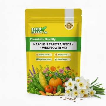 Narcissus Tazetta Seeds – Wildflower Mix
