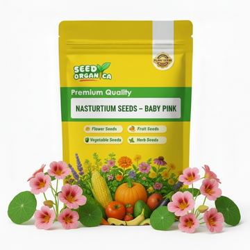 Nasturtium Seeds – Baby Pink
