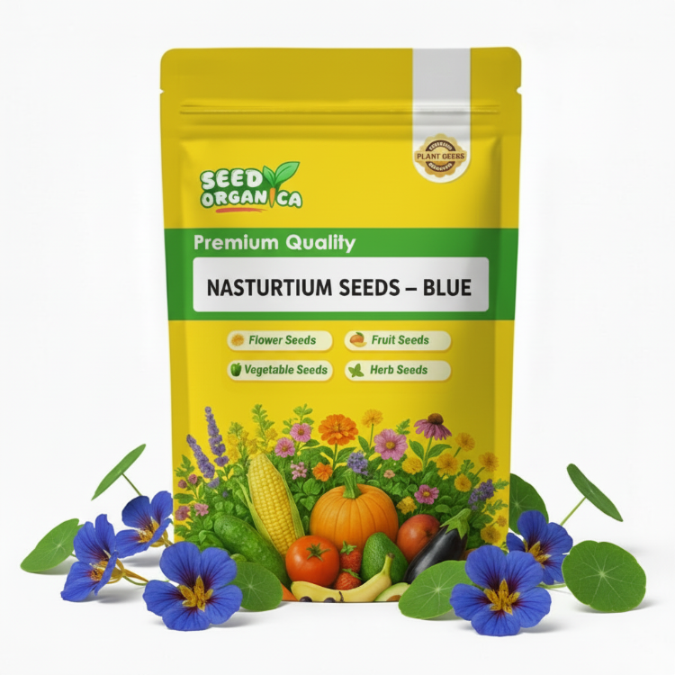 Nasturtium Seeds – Blue
