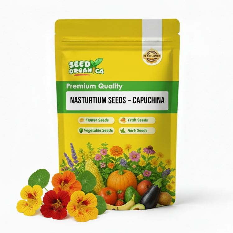 Nasturtium Seeds – Capuchina