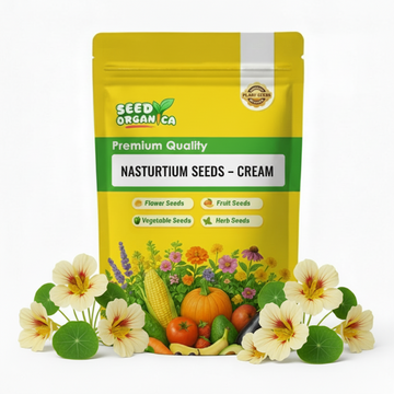 Nasturtium Seeds – Cream