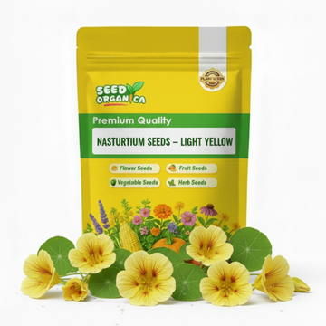 Nasturtium Seeds – Light Yellow