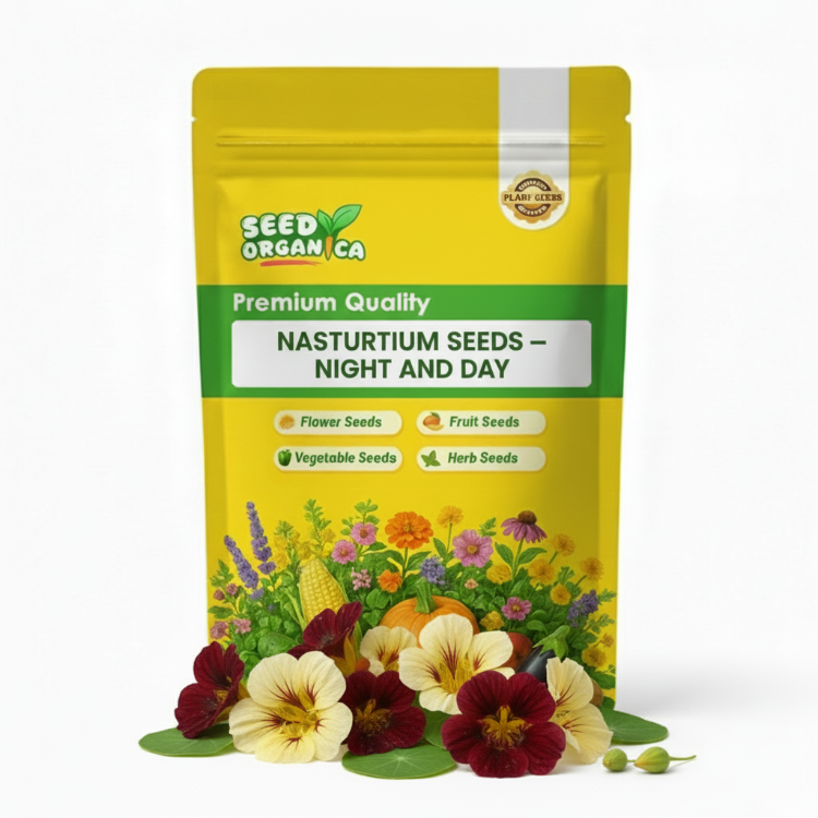 Nasturtium Seeds – Night and Day