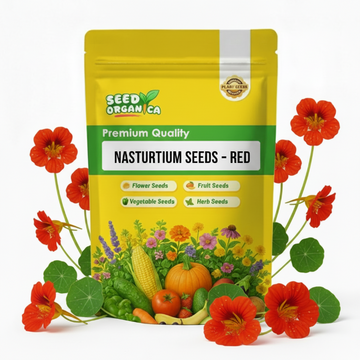 Nasturtium Seeds – Red