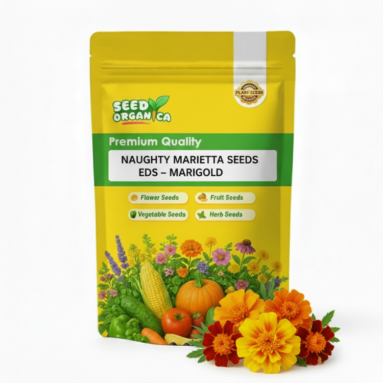 Naughty Marietta Seeds – Marigold