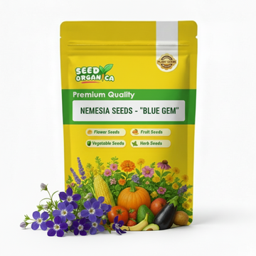Nemesia Seeds - 'Blue Gem'