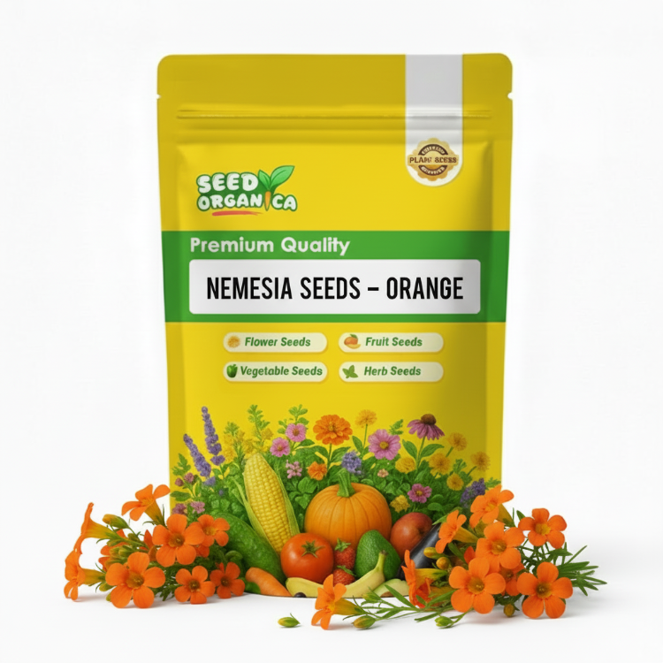Nemesia Seeds – Orange