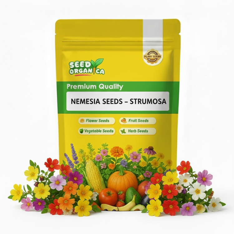 Nemesia Seeds – Strumosa