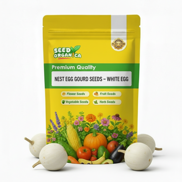 Nest Egg Gourd Seeds – White Egg