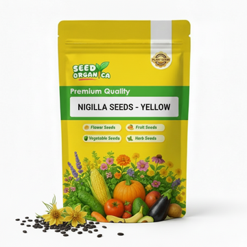 Nigella Seeds – Yellow