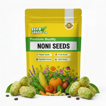 Noni Seeds