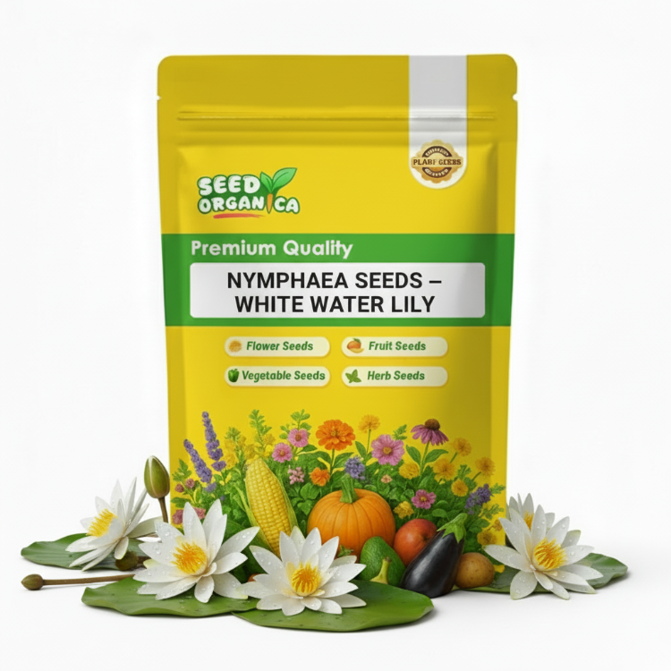 Nymphaea Seeds – White Water Lily