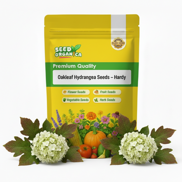 Oakleaf Hydrangea Seeds – Hardy