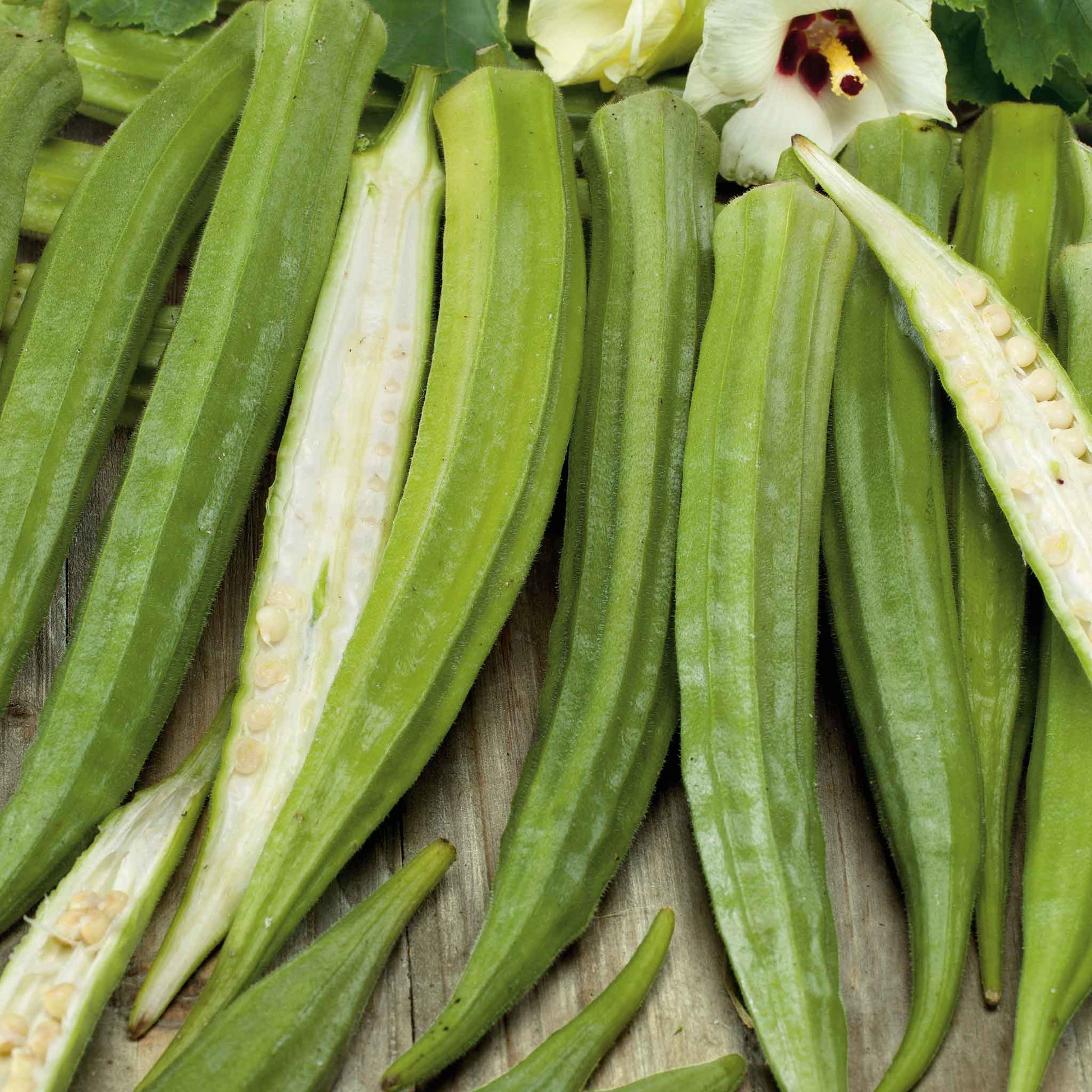 Okra Seeds – Cow Horn