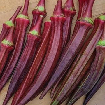 Okra Seeds – Red Green