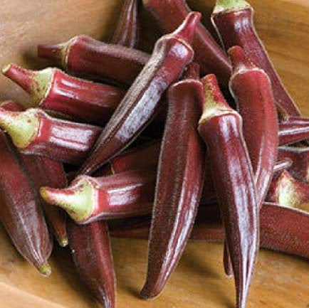 Okra Seeds – Red Green