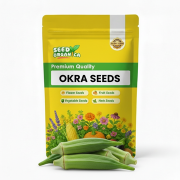 Okra Seeds