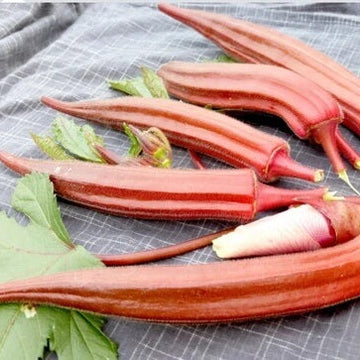 Okra Seeds – Orange