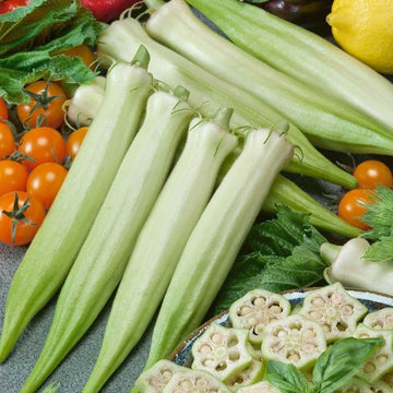 Okra Seeds – Blondy