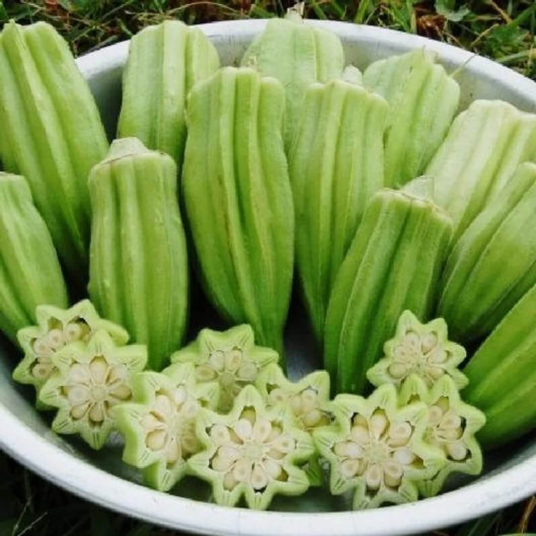 Okra Seeds – Star of David