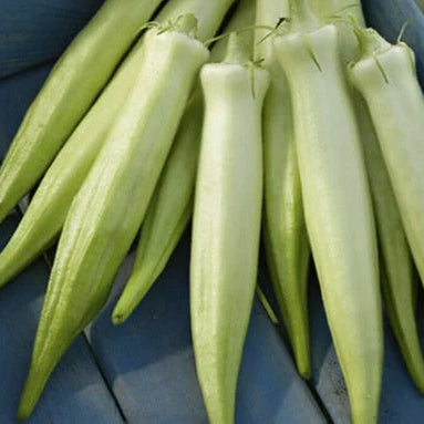 Okra Seeds – Blondy