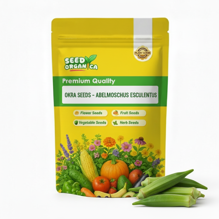Okra Seeds – Abelmoschus esculentus
