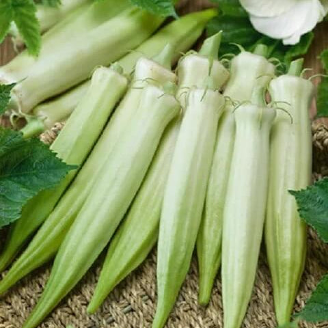 Okra Seeds – Blondy