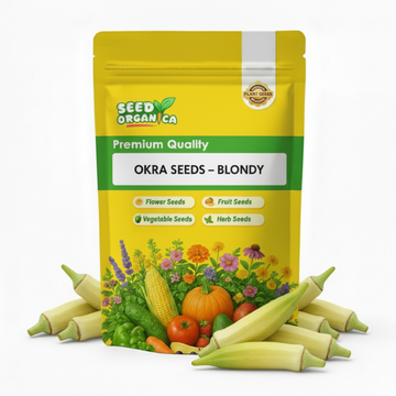 Okra Seeds – Blondy