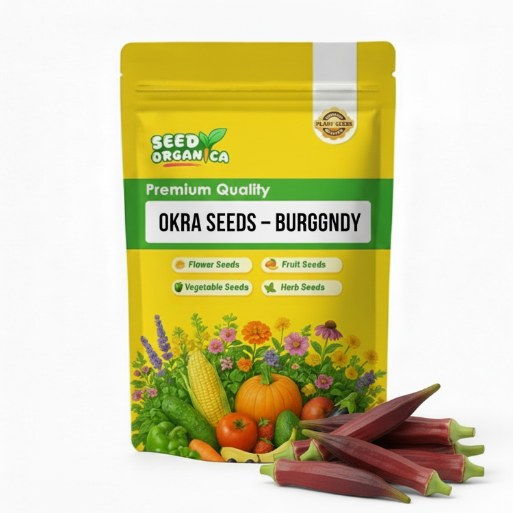Okra Seeds – Burgundy