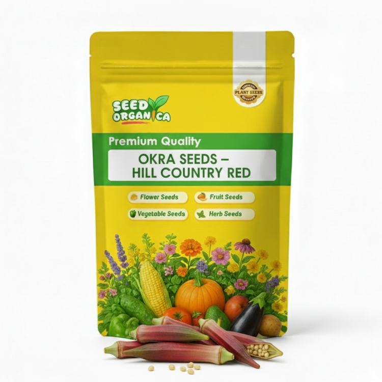 Okra Seeds – Hill Country Red