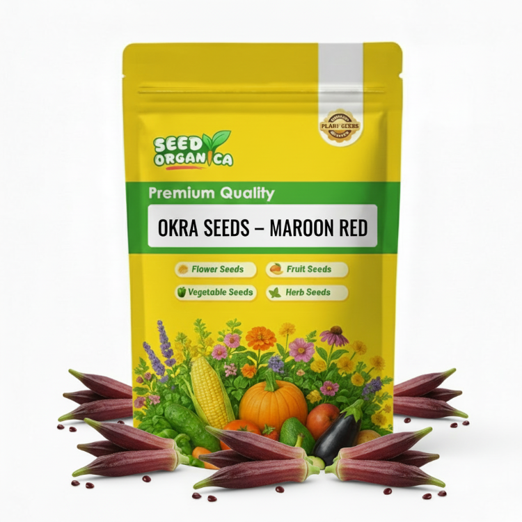 Okra Seeds – Maroon Red