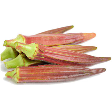 Okra Seeds – Orange