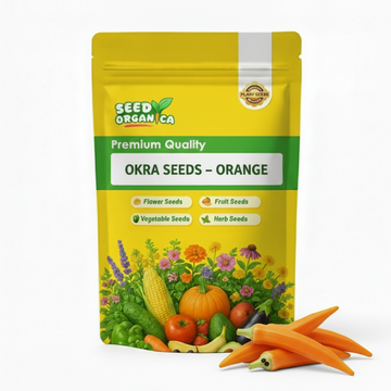 Okra Seeds – Orange