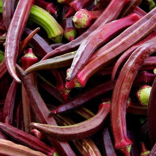 Okra Seeds – Red Green
