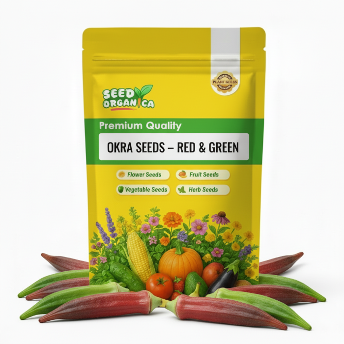 Okra Seeds – Red & Green
