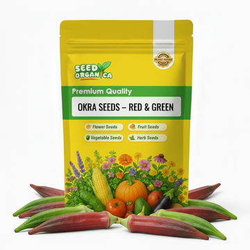 Okra Seeds – Red & Green